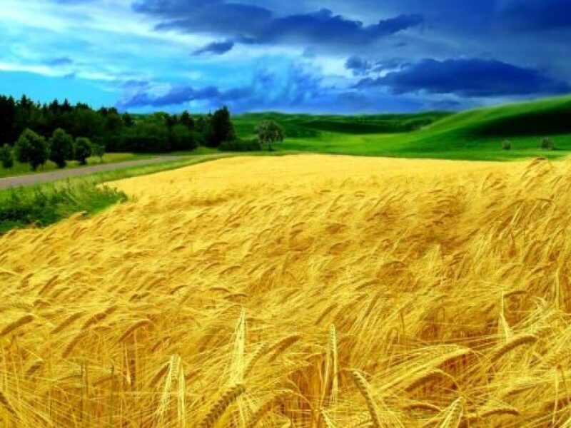 Що таке рідний край
